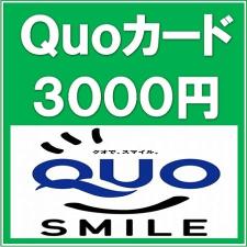 コンビニ、ドラッグショップ、ファミリーレストランなど、様々な場所で使える便利なQUOカード３０００円付き。