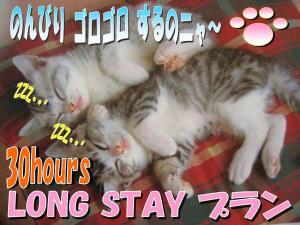 ３０時間ロングSTAYプラン。１５時から翌日２１時まで、ご滞在可能♪ゆっくり福岡を満喫したいお客様は是非。