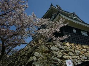 出世城の「浜松城」　ホテルより徒歩20分