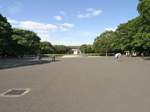 上野公園：徒歩5分