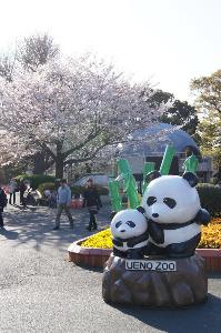 上野動物園のエントランス！パンダの親子とぜひ記念撮影を。