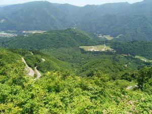 白山スーパー林道