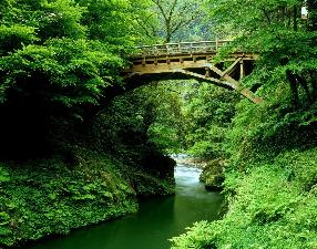 こおろぎ橋