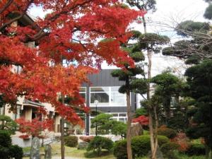 庭園【紅葉】