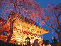 奥州一宮　塩竈神社