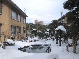 庭園　-夜・冬-