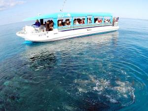 毎時30分おきにかりゆしビーチから出航いたします。約30種類のお魚たちが観察できますよ♪