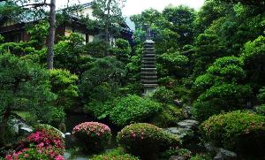 中庭　03