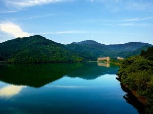 おしどりの池から