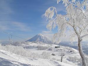 雪景色