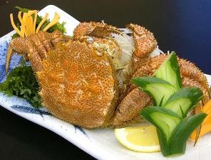 毛蟹：イメージ