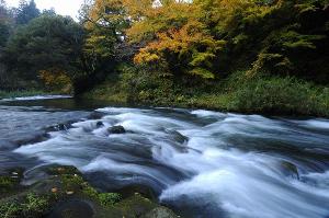鶴仙渓　川・紅葉