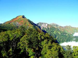 黒岳の紅葉と青空