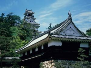 高知城　　ホテルから徒歩10分程です。