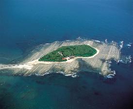 青島2