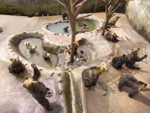 【周辺・景観】登別くま牧場
