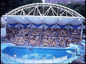 ショースタジアム
