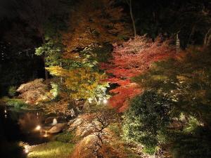 色鮮やかにライトアップされる夜の庭園はロマンチックで幻想的な雰囲気♪ 