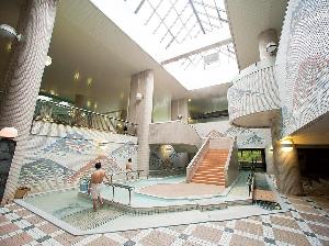 多彩な泉質と様々な趣向の浴槽で飽きることなくご入浴をお楽しみいただけます【浴場/歩行浴】