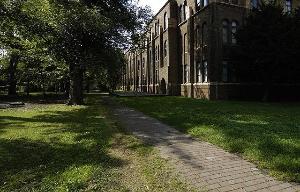 北海道大学構内2