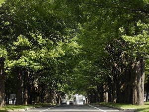 北海道大学構内3