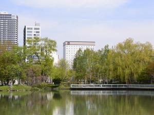夏の中島公園
