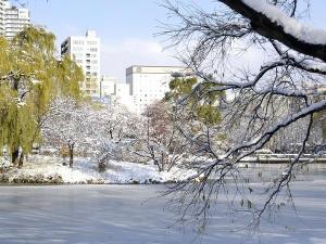 冬の中島公園