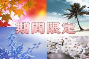 期間限定
