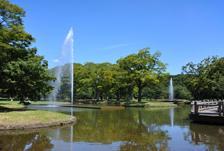 代々木公園