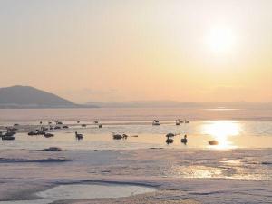 サロマ湖の夕日／白鳥が訪れるサロマ湖。冬の凛とした空気の中、夕日の美しさがさらに際立ちます。（イメージ）
