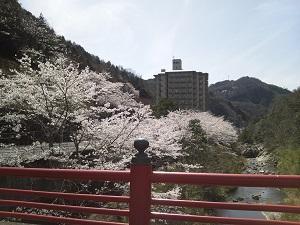 ホテル外観(春)