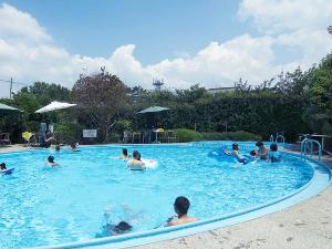 【プール】深さも浅いプールがあり小さなお子様も楽しめます（夏期限定）