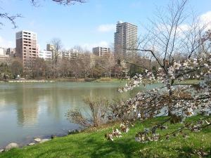 春の中島公園