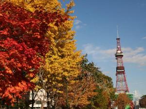 秋の大通公園２