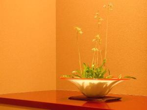 館内散策で、季節の生花で癒しを感じてください。