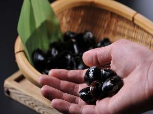 東郷湖産しじみ：鬼蜆
