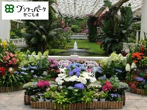 「フラワーパーク鹿児島」<BR>鹿児島県の植物や花々を一同に集めた公園です<BR>本土最南端の景色と植物を楽しむことが出来る広大な花のテーマパークです