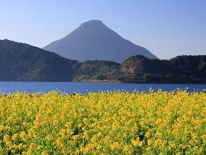 九州一大きな湖「池田湖」<BR>2メートルもある大うなぎを見ることができます。また謎の生物イッシーがいるとも言われ四季の花が咲く美しい湖です・・・