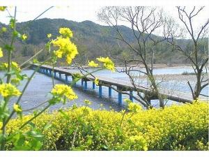 佐田沈下橋