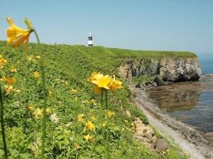 能取岬から見渡す澄み切ったオホーツク海と知床連山、オホーツクの美しさと雄大さを体感できます！