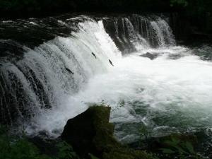 さくらの滝。６月～８月にかけてサクラマスが滝越えのジャンプを見せてくれます！