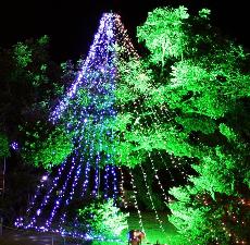 クリスマスシーズンになるとエントランス前をイルミネーション飾ります