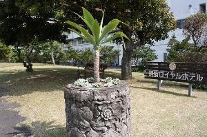 6000坪のお庭には鳥や季節の花々が咲き南国の雰囲気に浸ることがでいます