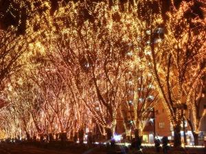 １２月、冬の風物詩・仙台光のページェント。会場となる定禅寺通まではホテルから徒歩５分と至近。
