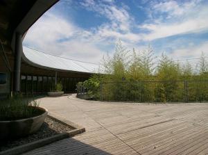 牧野植物園