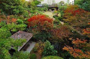 秋は紅葉が見ごろを迎えます