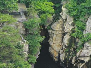 磊々峡(新緑)