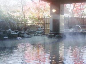 別館露天風呂「伊達の湯」