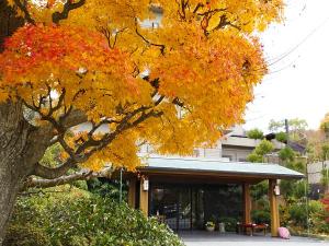 玄関　紅葉