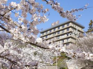 外観 桜